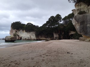 Tolaga Bay-The Mount-Cooks Beach-043